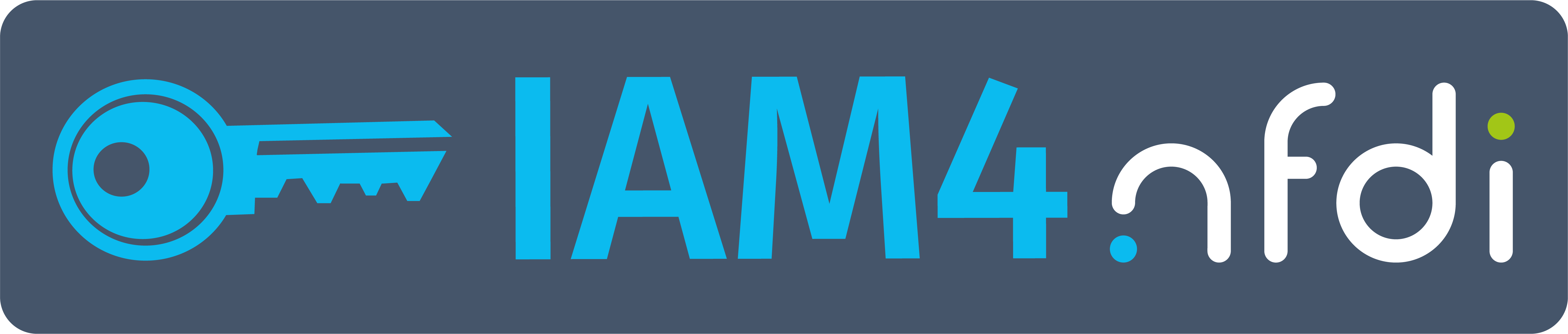 IAM4NFDI
