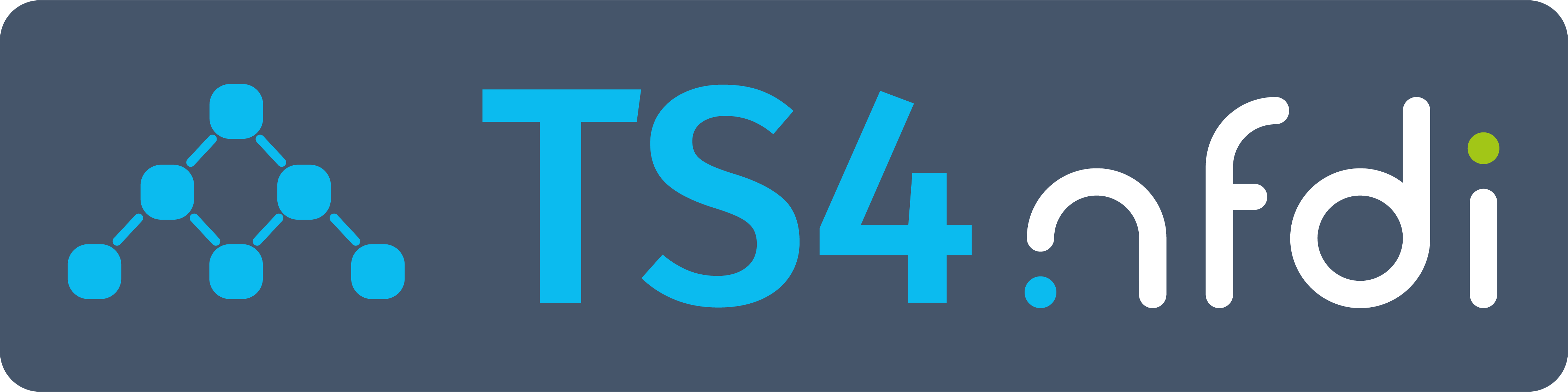 TS4NFDI