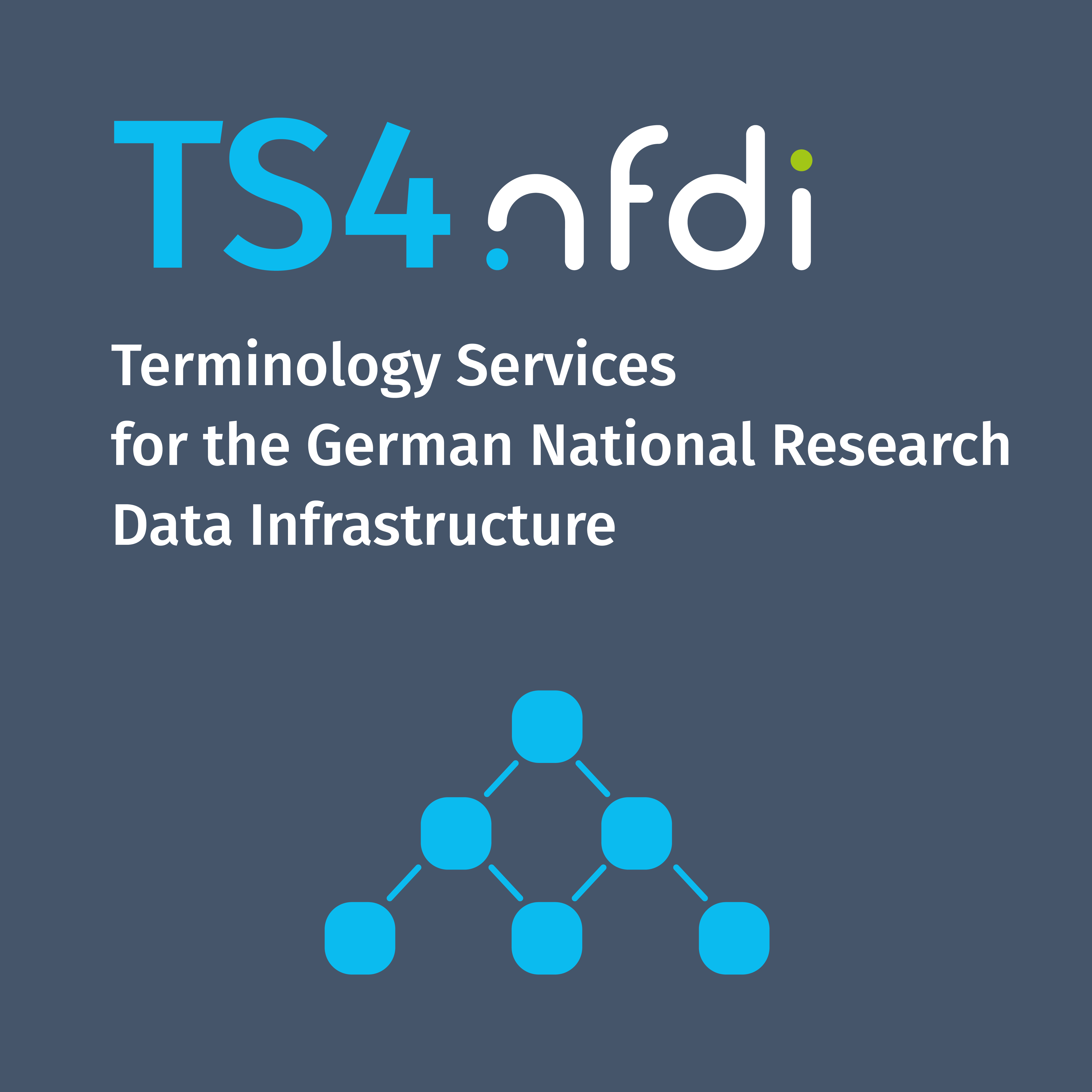 TS4NFDI