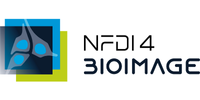 Consortia logo